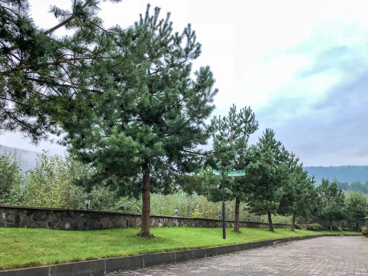 Gerdan Hotel Яремче Екстер'єр фото